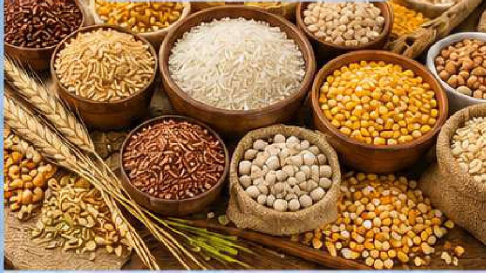 Food Import Export